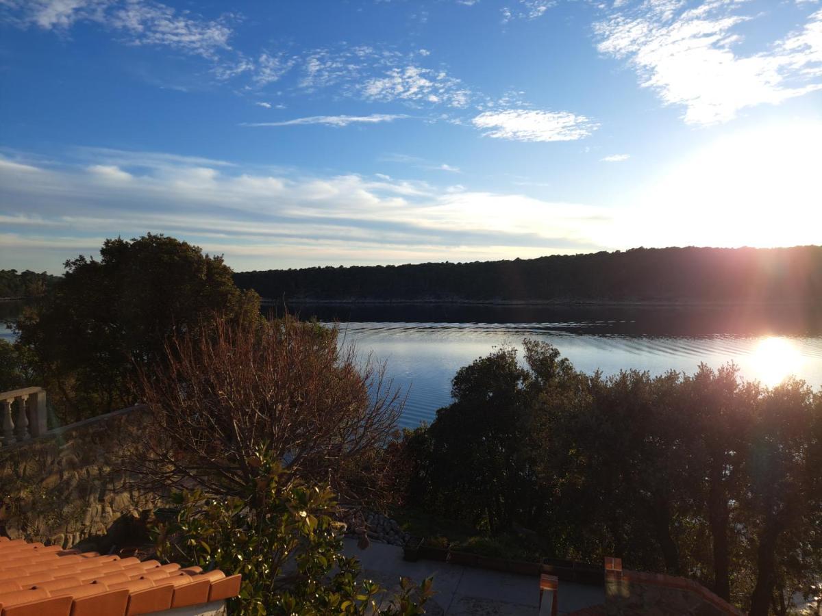 Apartman Vidas Palit Buitenkant foto